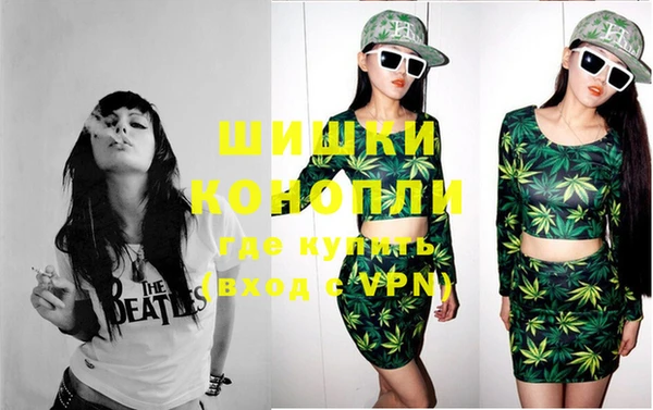 mix Богородицк