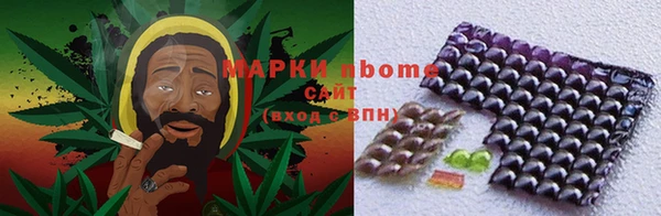 ПСИЛОЦИБИНОВЫЕ ГРИБЫ Бородино