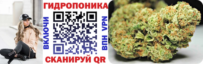 Конопля Ganja  Жуковка 